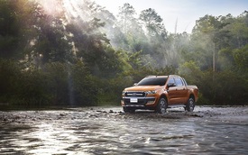 Ranger, Ecosport và Transit -  Bộ ba "thần tài" của Ford