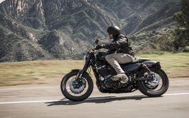 Harley-Davidson Roadster 2016 trình làng, giá từ 249 triệu Đồng