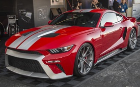 "Ngựa hoang" Ford Mustang bản độ "đầy thị phi" có giá 2,75 tỷ Đồng