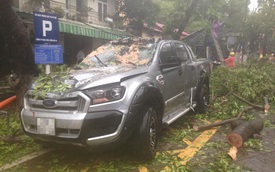 Hà Nội: Mưa bão, cây đổ trúng xe bán tải Ford Ranger