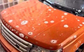 Đây là chiếc Range Rover "hot" nhất mạng xã hội trong ngày hôm qua