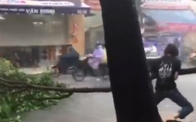 Bất chấp mưa gió, thanh niên kéo cành cây chắn ngang đường tại Sài Gòn