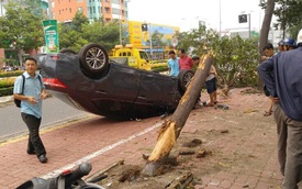 Vũng Tàu: Toyota Corolla Altis rơi từ trên cây xuống và lật ngửa, 1 người bị thương
