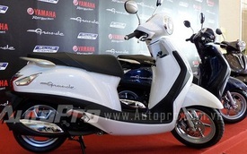 Sau Acruzo, đến lượt xe ga Yamaha Grande bị triệu hồi tại Việt Nam