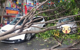 Sài Gòn: Giông lốc mạnh cây xanh bật gốc đè bẹp ô tô