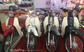 Phiên bản "nhái" của huyền thoại Honda Cub 50 có mặt ở Hà Nội