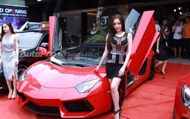 Elly Trần siêu gợi cảm bên Lamborghini Aventador Roadster