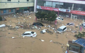 Bão Chaba đổ bộ vào Hàn Quốc, hàng nghìn ô tô chìm trong biển nước, 5 người tử vong