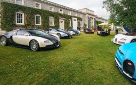 "Binh đoàn" gần 10.000 mã lực của Bugatti đại náo tại lễ hội Goodwood 2017