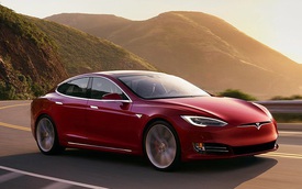 Tesla "mở khóa" nhiều mẫu xe để hỗ trợ khách hàng tránh siêu bão Irma
