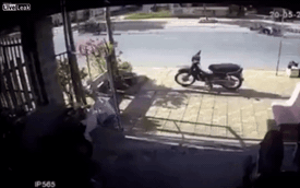 Chó thả rông gây tai nạn liên hoàn cho 2 người đi xe máy