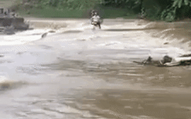 Clip: Liều lĩnh chạy xe máy qua đập tràn, người đàn ông bị nước cuốn trôi