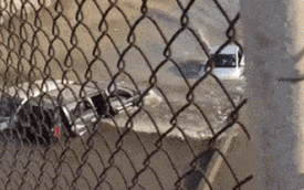 Chẳng "ngán" đường ngập, Toyota Prius lội nước như tàu ngầm