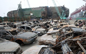 Hình ảnh hơn 100 ô tô biến thành đống sắt gỉ sau 3 năm nằm dưới đáy biển cùng phà Sewol khiến nhiều người rùng mình