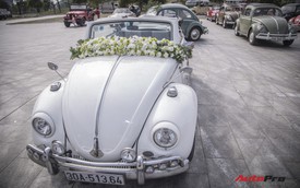 Chiêm ngưỡng dàn "bọ già" Volkswagen Beetle đủ sắc màu tại Hà Nội