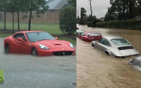 Nhiều siêu xe và xe thể thao chìm trong nước lũ sau cơn bão Harvey tại Mỹ