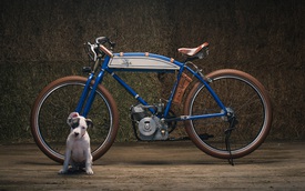 Xế cổ Ducati tạo cảm hứng cho những người yêu chó