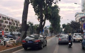 Hà Nội: Xế hộp biển xanh “ngang nhiên” chiếm làn xe buýt nhanh BRT