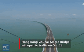 Cận cảnh cầu vượt biển dài nhất thế giới nối liền Trung Quốc và Hồng Kông