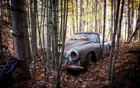 Bị bỏ hoang 40 năm trong rừng, xe Aston Martin độn giá gấp 100 lần so với ban đầu