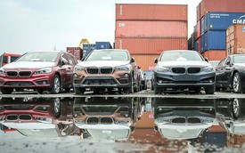 118 container chứa xe BMW vô thừa nhận ở cảng hơn 1 năm