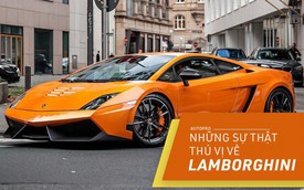 [Photo Story] 10 điểm thú vị ai cũng cần biết về Lamborghini