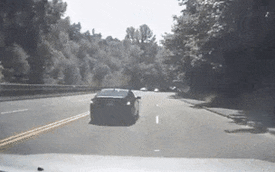 Tài xế Audi hy sinh xe mình để cứu đàn vịt qua đường