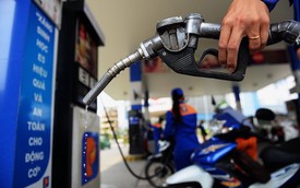 [Infographic] Giá xăng dầu dịp Tết Kỷ Hợi giữ nguyên 16.272 đồng/lít