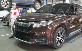 Honda Avancier - đàn anh CR-V bất ngờ xuất hiện tại đại lý ở Việt Nam