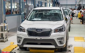 Subaru Forester 2019 nhập khẩu Thái Lan lộ giá bán từ 1,128 tỷ đồng - lời đe dọa tới Honda CR-V và Mazda CX-5