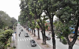 Ảnh: Đường Láng thay đổi bất ngờ, dân Thủ đô cứ ngỡ đang lạc vào đường phố Singapore