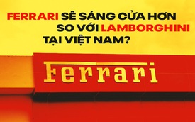 Ferrari vào Việt Nam: Thách thức nhiều hơn cơ hội nhưng 'có cửa sáng hơn Lamborghini'