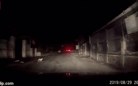 Trời tối lái xe, tài xế hoảng hốt khi thấy đứa trẻ bò từ cổng nhà ra đường chơi