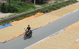 Cận cảnh đường dẫn lên cây cầu đẹp nhất Việt Nam bị người dân Hà Nội "hô biến" thành nơi phơi thóc