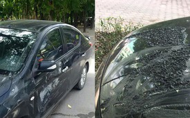Xôn xao hình ảnh ô tô bị đổ chất lạ và cào nham nhở sau một đêm ở Hà Nội