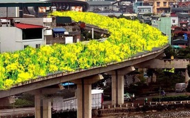 Đường sắt Cát Linh - Hà Đông bỗng hóa "hoa vàng trên cỏ xanh" qua bàn tay photoshop, thêm loạt lựa chọn bất ngờ được dân mạng ủng hộ rào rào