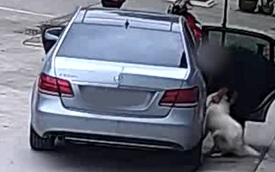Doanh nhân lái xe sang Mercedes-Benz E-Class đi trộm chó