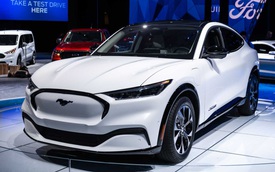 Ford sẽ có xe điện giá rẻ dưới 460 triệu đồng cho người dùng