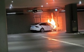 Xe Tesla gây tai nạn chết người ở Hàn Quốc, tài xế tố xe mất lái và tự tăng tốc