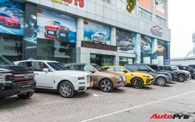 Dàn SUV và bán tải trăm tỷ được chào bán cùng lúc tại Hà Nội: Thương hiệu đa dạng, nhiều phiên bản độc và hiếm