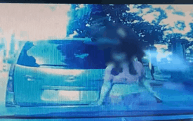 CLIP: Ô tô dính đầy sơn, tài xế kinh ngạc khi phát hiện người phụ nữ lạ trong camera hành trình