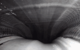 Video: Khám phá bí mật bên trong lốp ô tô khi xe đang chạy trên đường