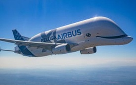 Máy bay "cá voi dễ thương" Airbus Beluga XL chính thức được đưa vào hoạt động sau một thời gian dài thử nghiệm