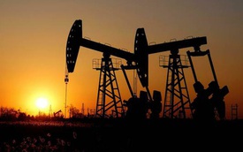 Chưa từng có trong lịch sử: Giá dầu về mức âm 37,63 USD/thùng