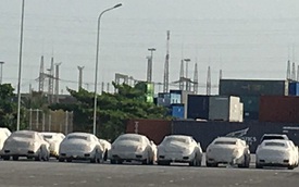 Siêu xe Ferrari, hàng chục ô tô Nissan bị 'bỏ quên' ở cảng Hải Phòng