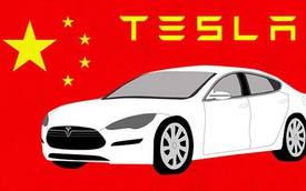 Tesla bất ngờ phải thu hồi gần 50.000 xe tại Trung Quốc, hoạt động kinh doanh bị cản trở, cổ phiếu rớt giá