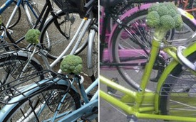 Ăn trộm hàng loạt yên xe đạp rồi cắm bông cải xanh vào khiến chủ xe ức chế không làm gì nổi