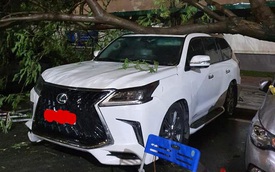 Hy hữu màn đỡ cây đổ đầy xót xa trong đêm mưa lớn tại Hà Nội: Lexus LX 570 giá chục tỷ bẹp rúm nóc xe