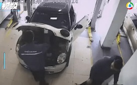Kiểm tra động cơ ô tô, nhân viên sửa chữa giật bắn mình bỏ chạy sau khi chứng kiến cảnh này