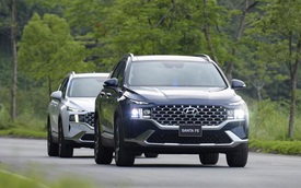 5 xe gầm cao bán chạy tháng 5/2021: Hyundai Santa Fe lần đầu lên đỉnh